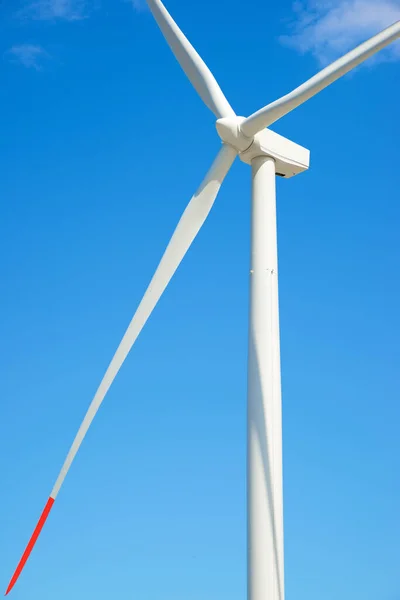 Windturbine Voor Elektriciteitsproductie Provincie Zaragoza Aragon Spanje — Stockfoto