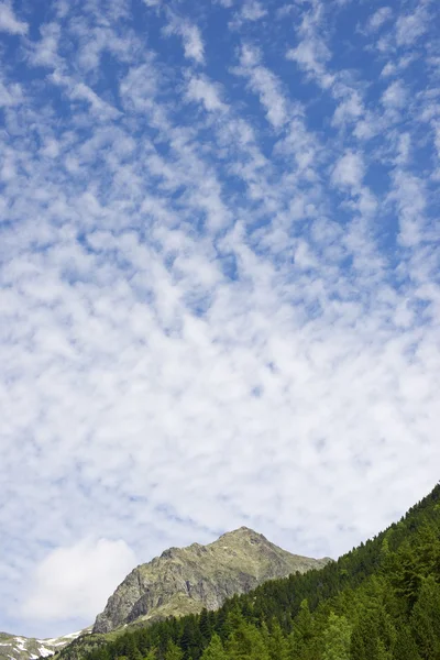 Pyrenees — Stock Photo, Image