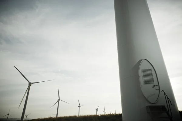 Energía eólica — Foto de Stock