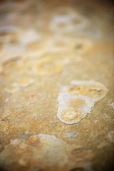 Table slate — Stock Photo, Image