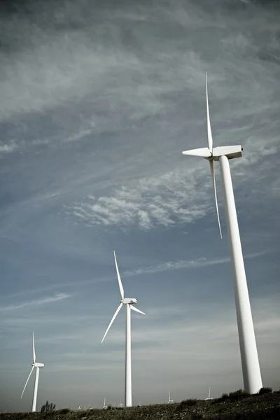 Energía eólica —  Fotos de Stock