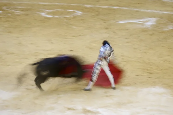 Bullfighting — Stock Photo, Image