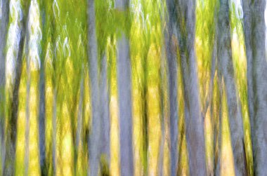 abstract forest clipart
