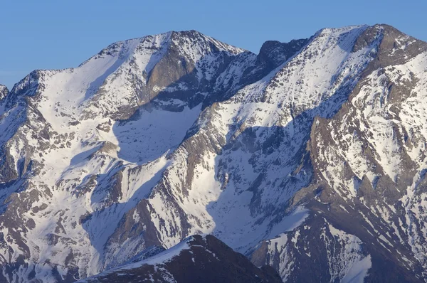 Pico de posets — Fotografia de Stock