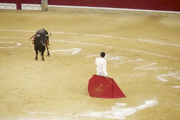 Bullfighting — Stock Photo, Image