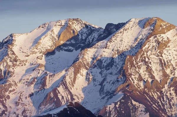 Pico de posets — Fotografia de Stock