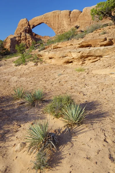 Arches National Park — Stock Photo, Image