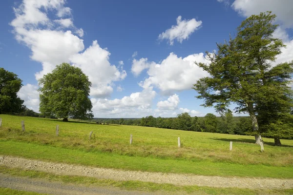 Normandie — Stockfoto