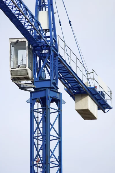 Blue crane — Stock Photo, Image