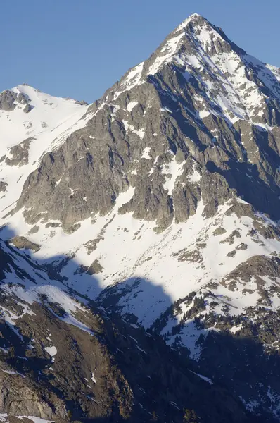 Pico de arriel — Foto de Stock