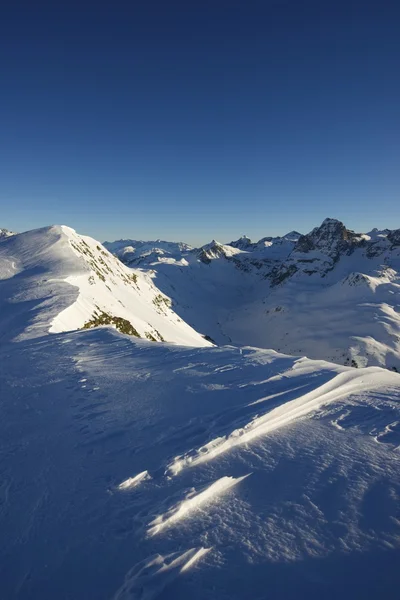 Pyrenees — Stok Foto