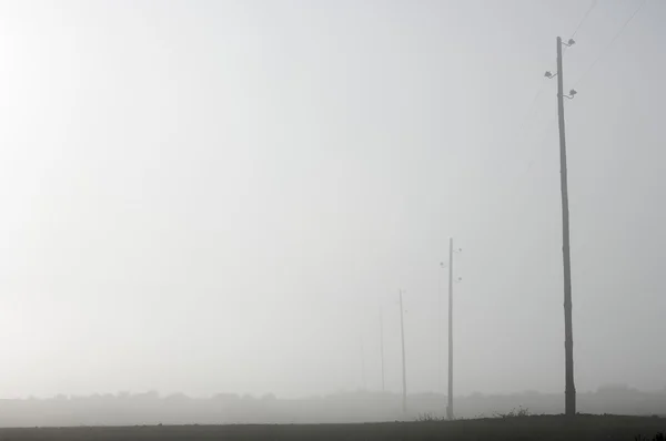 Pylons de madeira — Fotografia de Stock