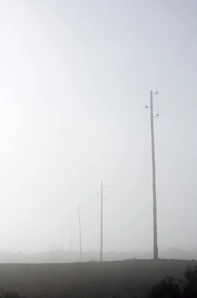 Pylons de madeira — Fotografia de Stock