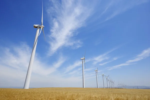 Energía eólica —  Fotos de Stock