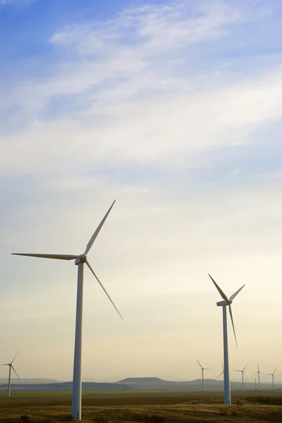 Energía eólica —  Fotos de Stock