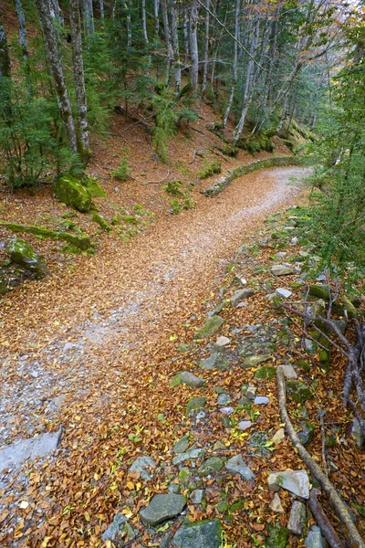 Ordesa — Stockfoto