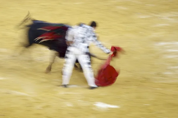 Bullfighting — Stock Photo, Image