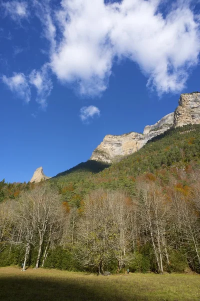 Pyrenees — Stok fotoğraf