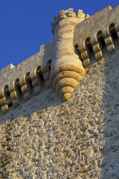 Zamek torija — Zdjęcie stockowe