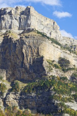 Pyrenees