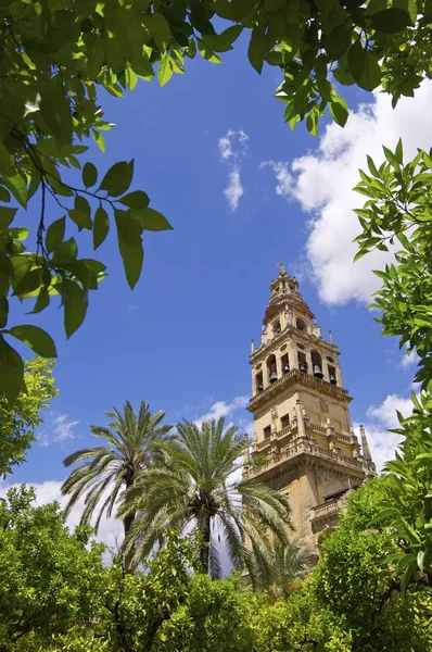 Mezquita de Córdoba — Foto de Stock