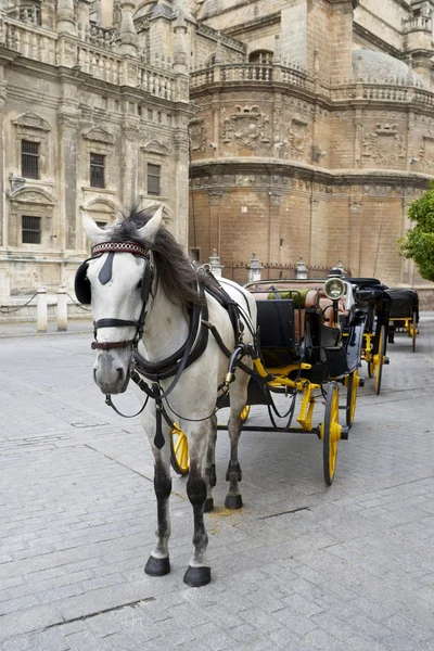 Carrozza — Foto Stock