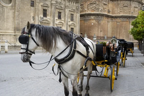 Carrozza — Foto Stock