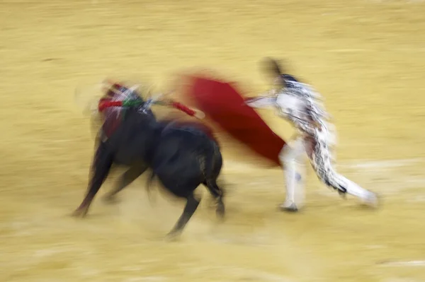 Bullfighting — Stock Photo, Image