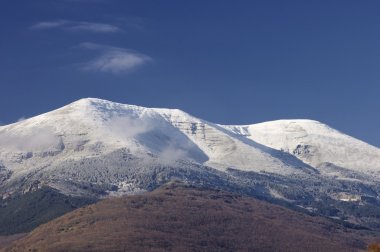 MONCAYO
