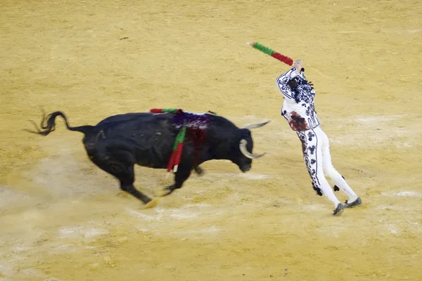 Bullfighting — Stock Photo, Image