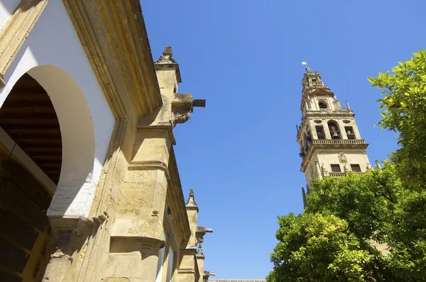 Moschee in Cordoba — Stockfoto