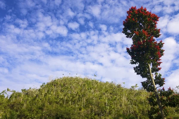 Vinales Mountains — Stock Photo, Image