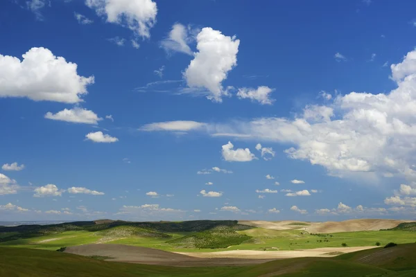 Paisaje árido —  Fotos de Stock