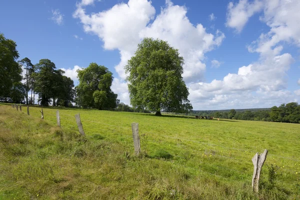 Normandie — Stockfoto