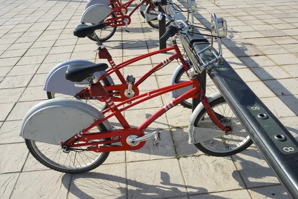 Прокат велосипедов — стоковое фото