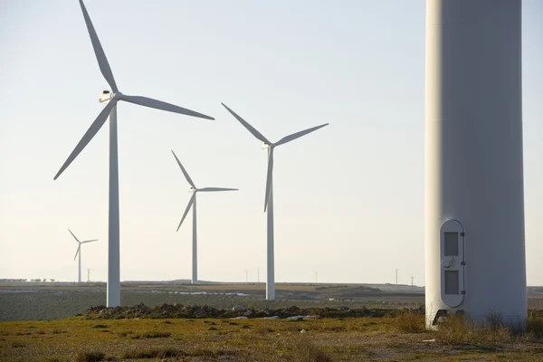 Wind energy — Stock Photo, Image