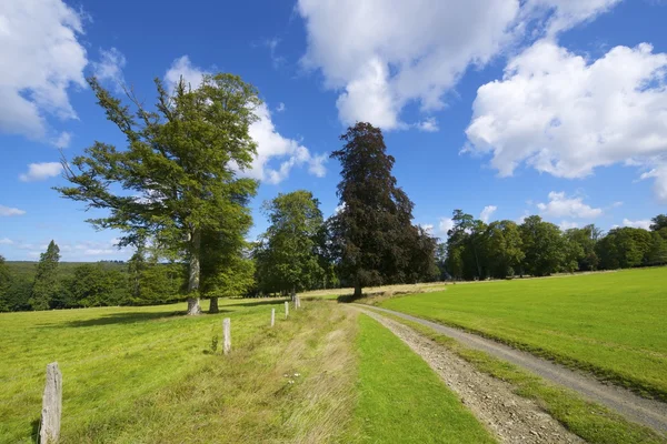 Normandie — Stockfoto