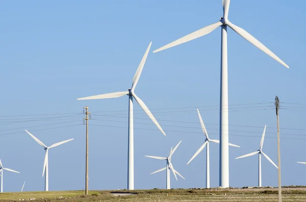 Wind energy — Stock Photo, Image