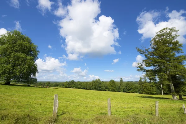 Normandie — Stockfoto