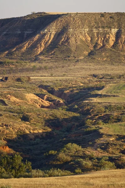 Arid landscape — Stock Photo, Image