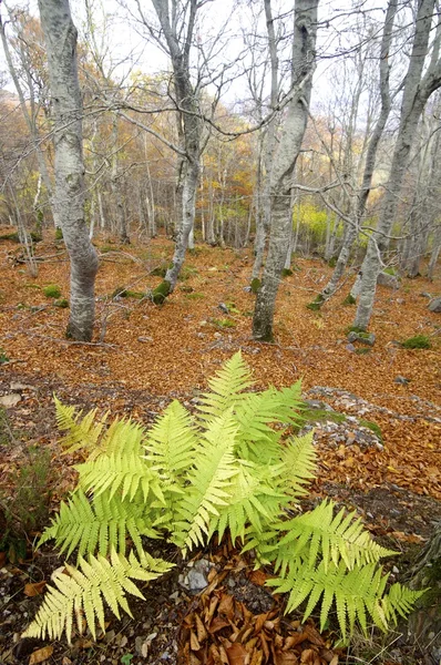 Moncayo — Fotografia de Stock