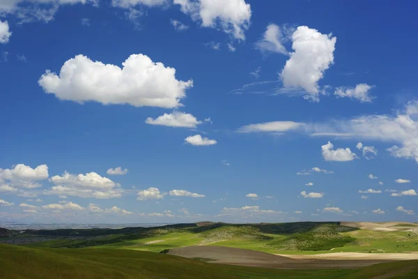 Paesaggio arido — Foto Stock