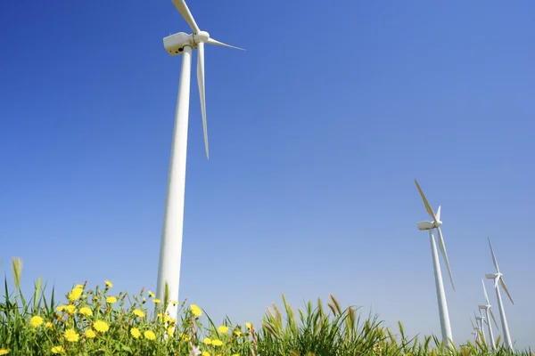 Energía eólica — Foto de Stock