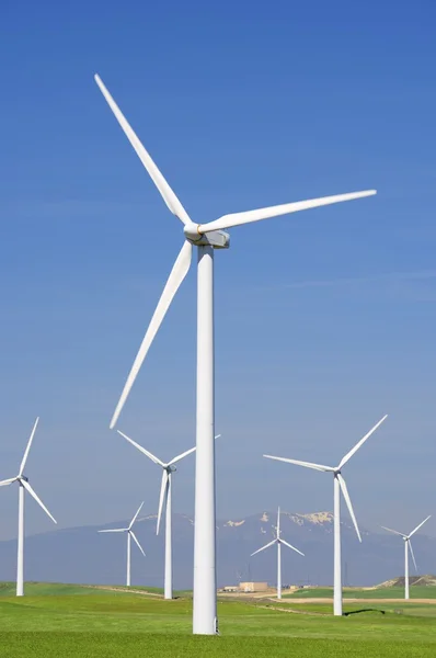 Wind energy — Stock Photo, Image