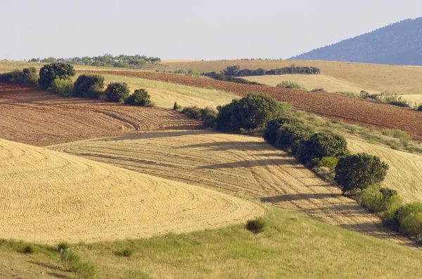 Campo fluido — Foto de Stock