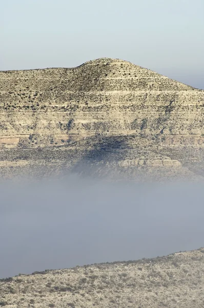 Arid landscape — Stock Photo, Image