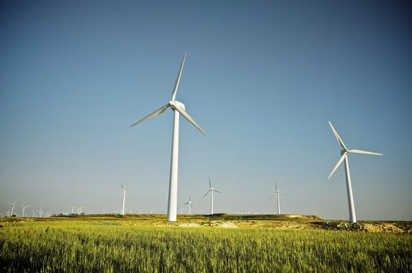 Wind energy — Stock Photo, Image