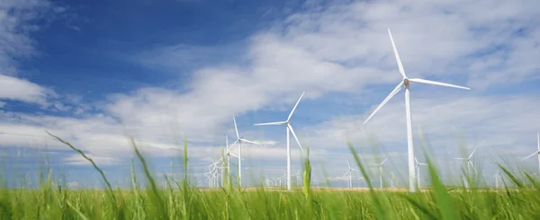 Energía eólica — Foto de Stock