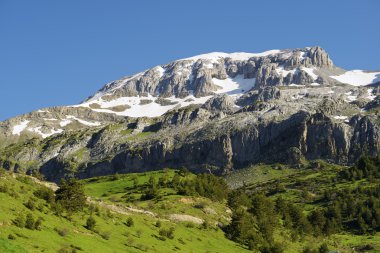 Pyrenees