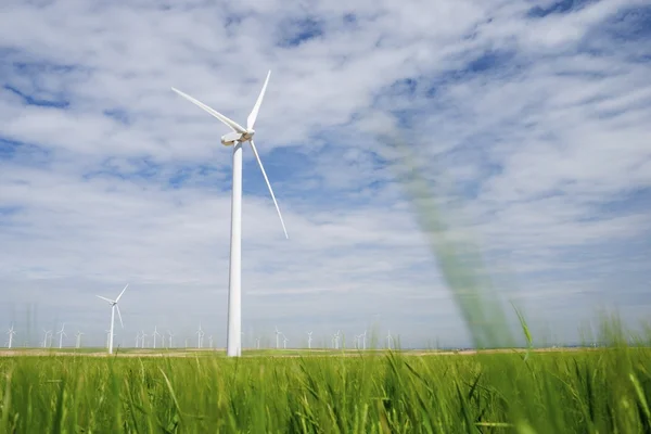 Energia eólica — Fotografia de Stock